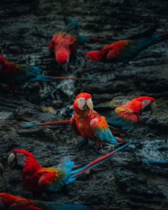 O que fazer no Peru: 21 experiências imperdíveis