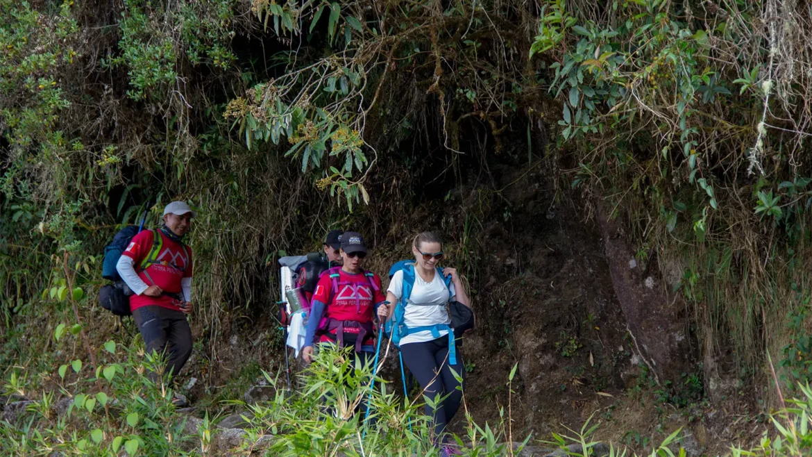 avaliações de viajantes