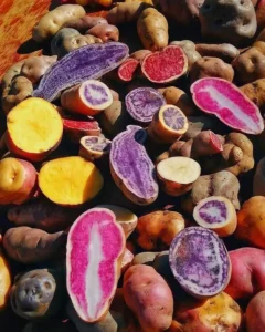 curiosidades do Peru