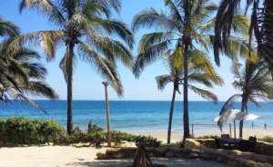 5 experiências imperdíveis no litoral do Peru
