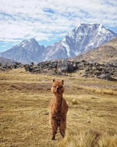 Ausangate no Peru